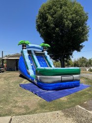 IMG 4922 1690912207 14' Palm Tree Water Slide