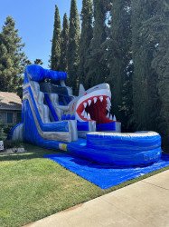 IMG 4942 1690911837 20' Shark Water Slide