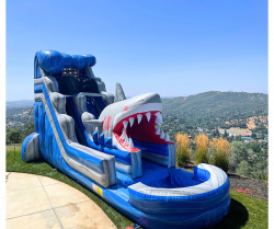 Water Slide rentals