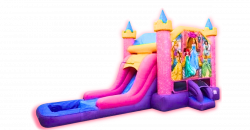 Princess Bounce & Slide Wet or Dry