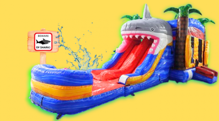 Bounce House W/ Slide Rentals